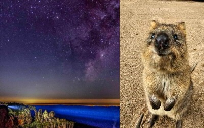 AussieVIEW 오지뷰 페더데일 동물원 + 블루마운틴 선셋 별보기