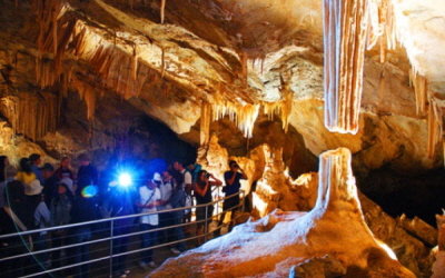 AussieVIEW 오지뷰 블루마운틴 + 제놀란 동굴